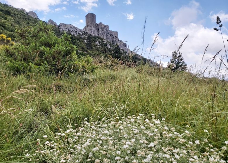 CASTILLO DE QUÉRIBUS