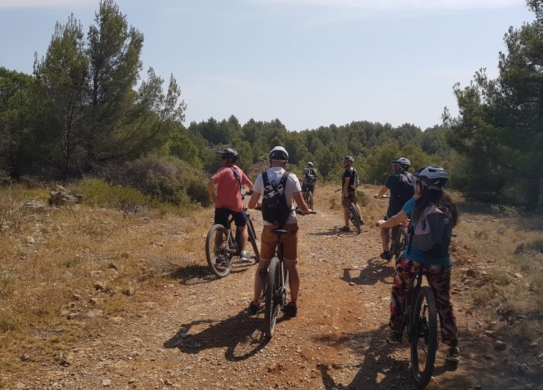 ACCOMPANIED RIDE BY ELECTRIC BIKE