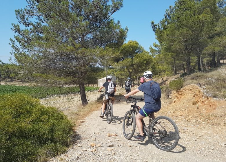 BALADE ACCOMPAGNEÉE À VELO ÉLECTRIQUE