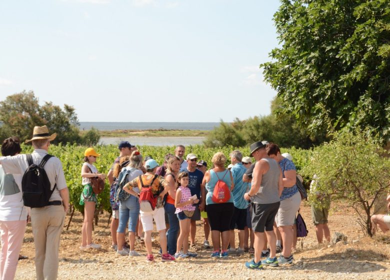 BALADE VIGNERONNE