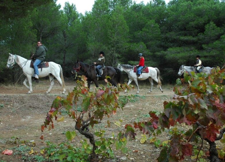 REITER-TOURISTENZENTRUM LES AYGUADES