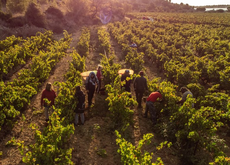 LA BODEGA GRUISSAN