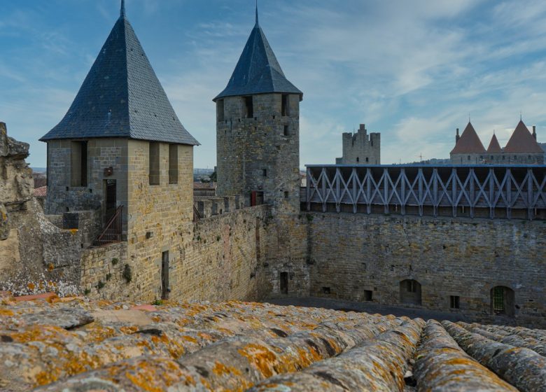 SCHLOSS UND WÄLDER DER STADT CARCASSONNE