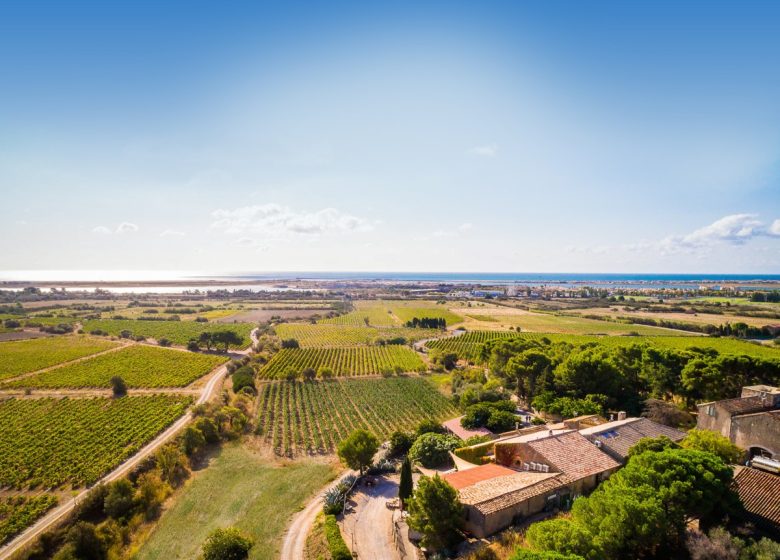 CHÂTEAU LE BOUÏS