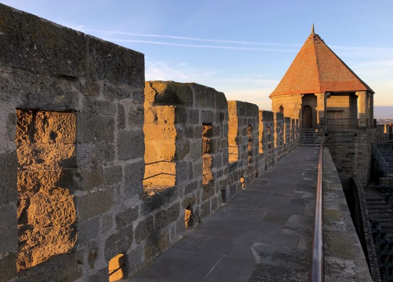 SCHLOSS UND WÄLDER DER STADT CARCASSONNE