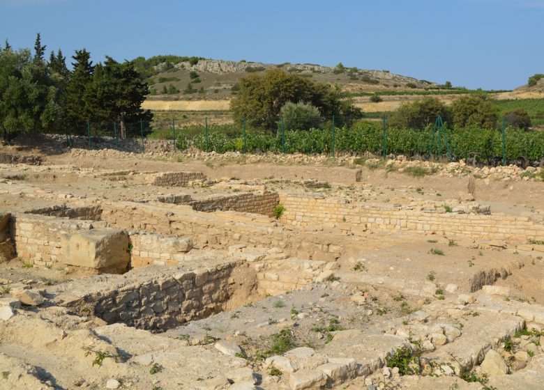 SITE ARCHEOLOGIQUE DE L’ILE SAINT MARTIN