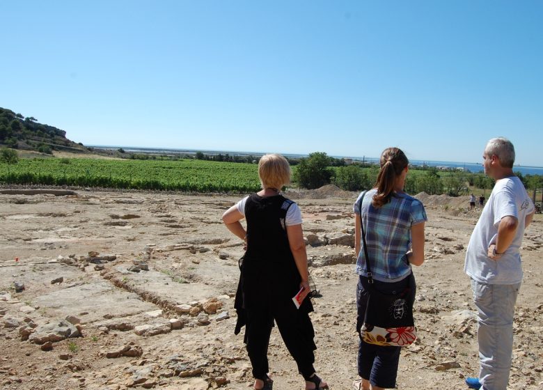 SITE ARCHEOLOGIQUE DE L’ILE SAINT MARTIN