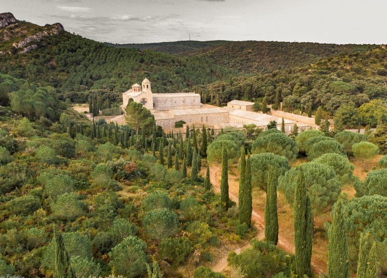 ABBAYE DE FONTFROIDE