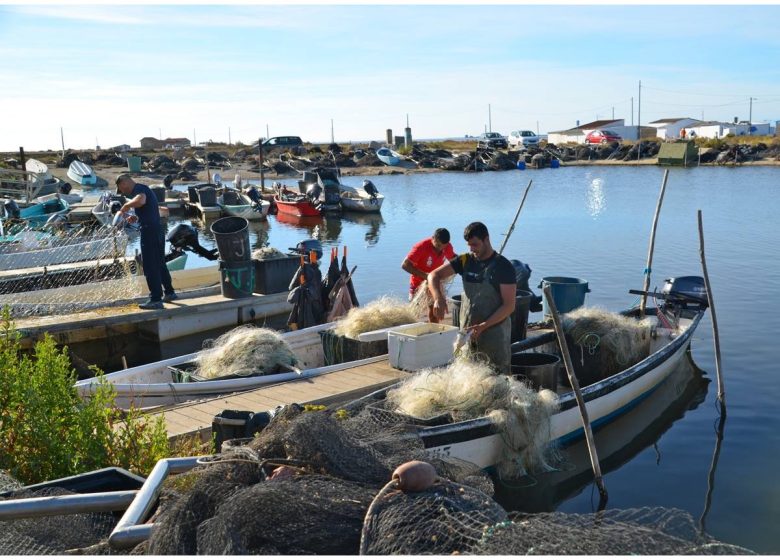 PESCADORES AYROLLE