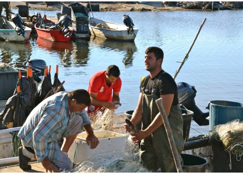 AYROLLE FISHERMEN