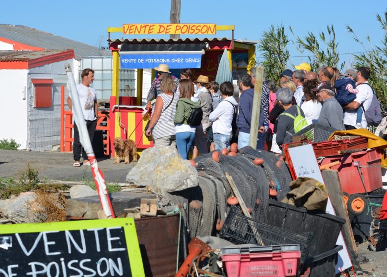 PESCADORES AYROLLE