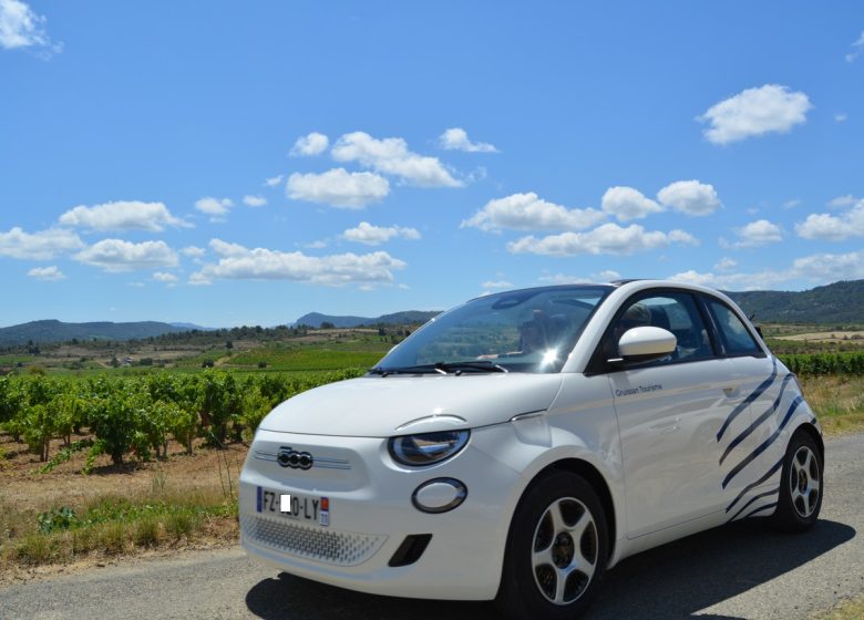 ALQUILER DE VEHICULOS ELECTRICOS