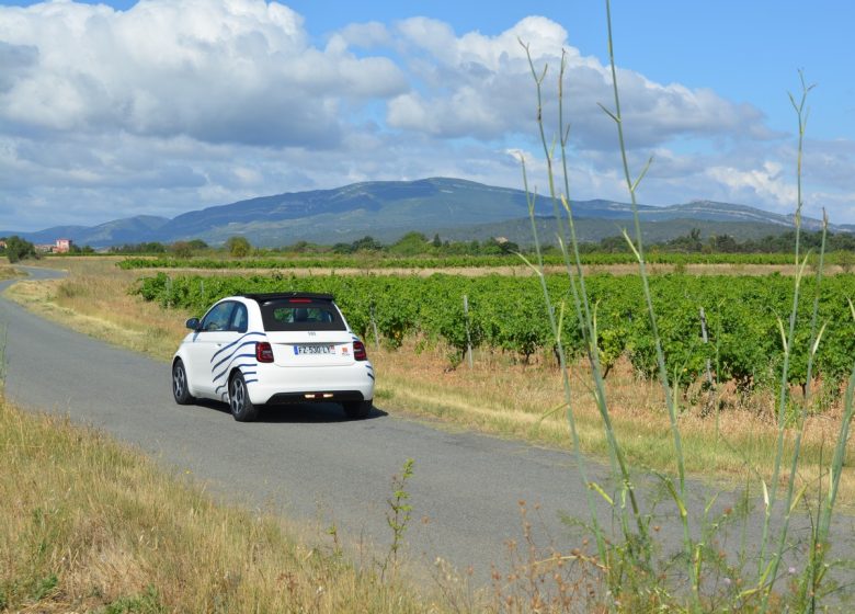 LOCATION DE VÉHICULES ÉLECTRIQUES