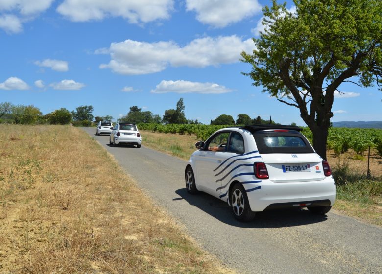 LOCATION DE VÉHICULES ÉLECTRIQUES