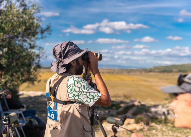 LIGUE POUR LA PROTECTION DES OISEAUX