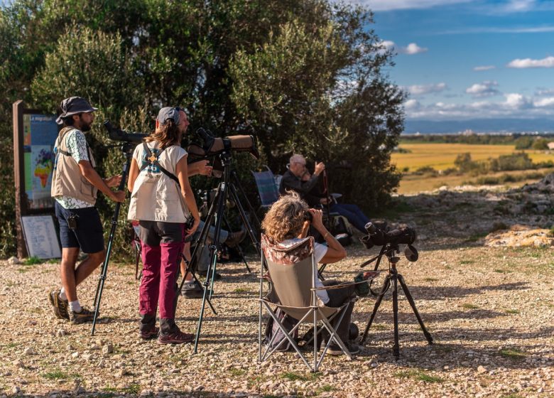 LIGUE POUR LA PROTECTION DES OISEAUX