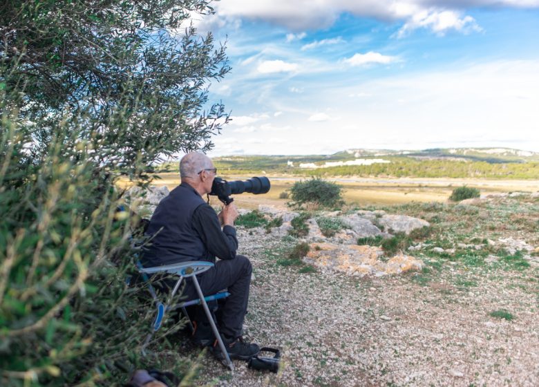 LIGUE POUR LA PROTECTION DES OISEAUX