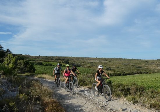 CIRCUIT VTT N°6 – LA MONTÉE DES PLATEAUX