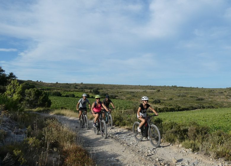 CIRCUITO MTB N ° 6 - LA SUBIDA DE LA MESETA