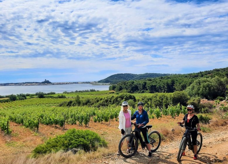 LANGUEDOC MTB ESCAPE