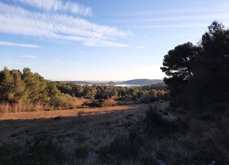 LANGUEDOC MTB ESCAPE