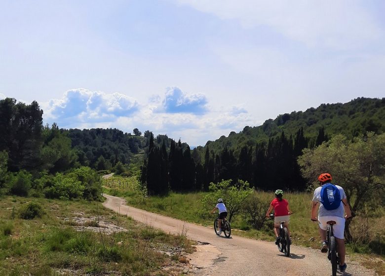 LANGUEDOC VTT ÉVASION