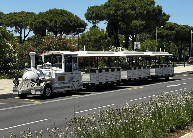 EL PEQUEÑO TREN DE GRUISSAN