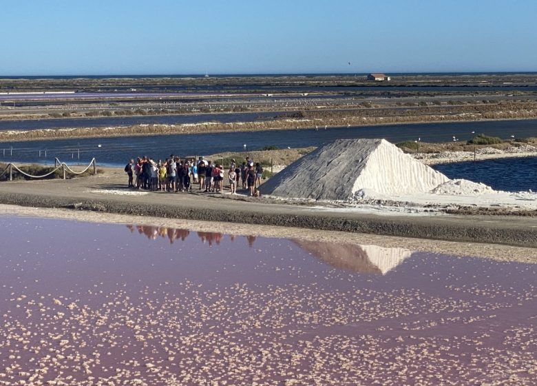 LA SAL DE LA ISLA DE SAINT-MARTIN