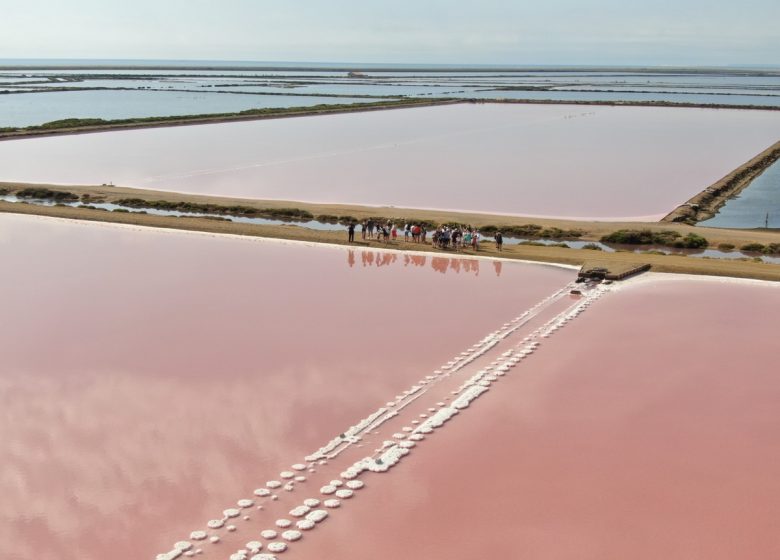 LE SALIN DE L’ÎLE SAINT-MARTIN