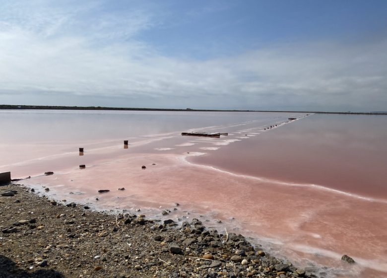 LE SALIN DE L’ÎLE SAINT-MARTIN