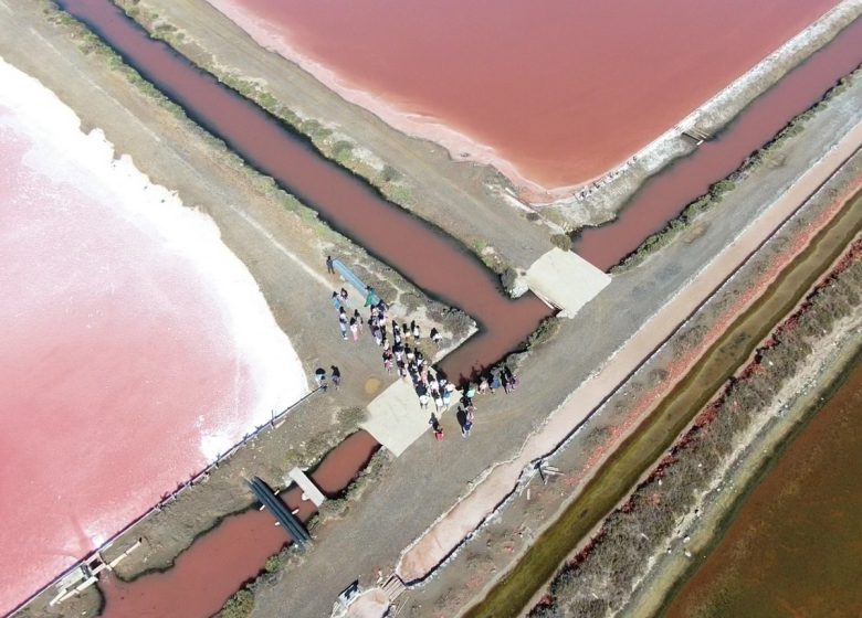 LE SALIN DE L’ÎLE SAINT-MARTIN