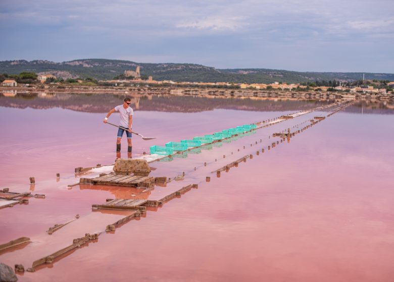 LE SALIN DE L’ÎLE SAINT MARTIN