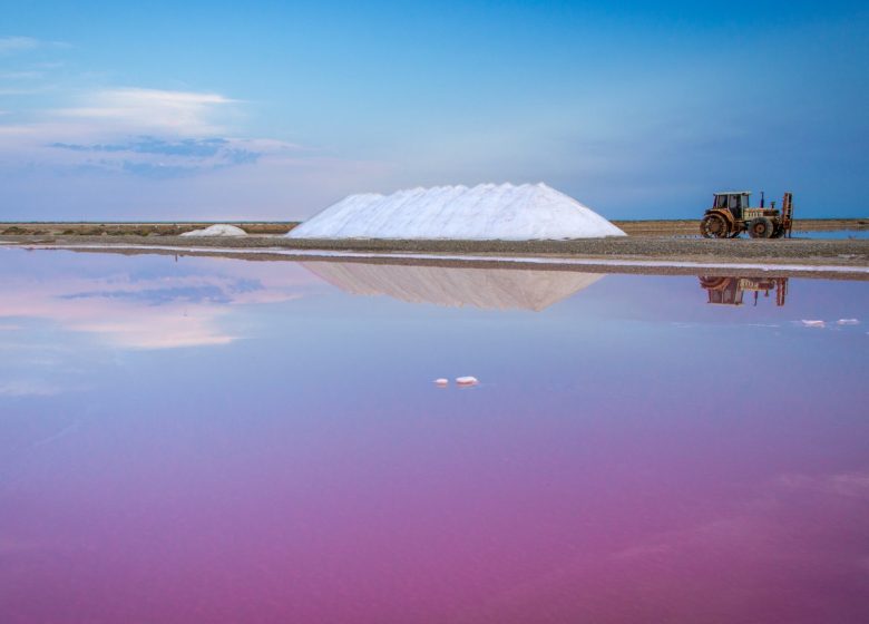 THE SALT OF SAINT MARTIN ISLAND