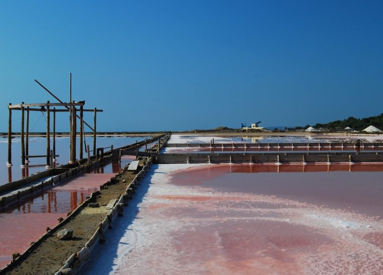 THE SALT OF SAINT MARTIN ISLAND