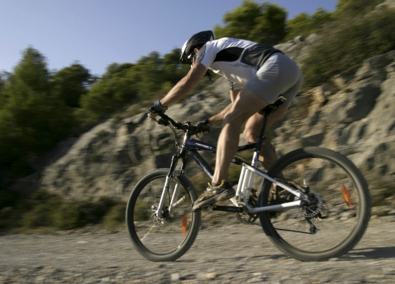 BICICLETAS MAXIME - ALQUILER DE BICICLETAS