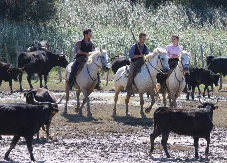 MANADE TOURNEBELLE