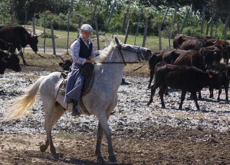 MANADE TOURNEBELLE