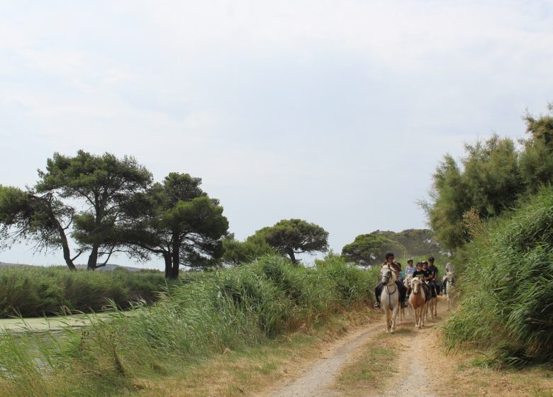 CAMAR’AD ÉQUITATION