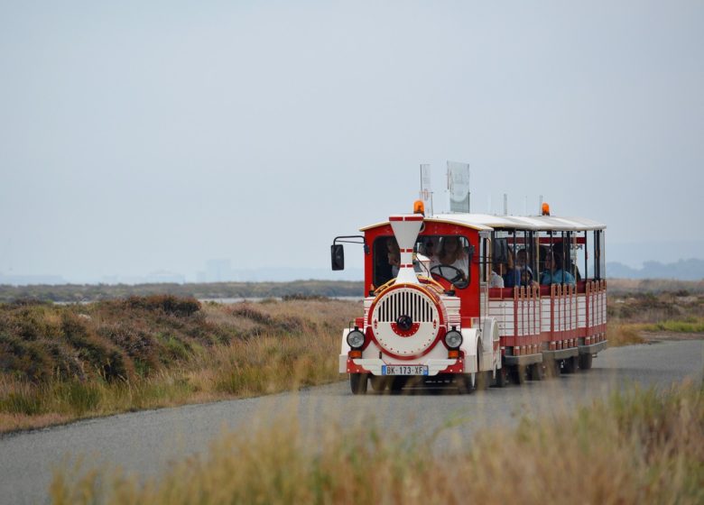 LITTLE RED TRAIN OF GRUISSAN