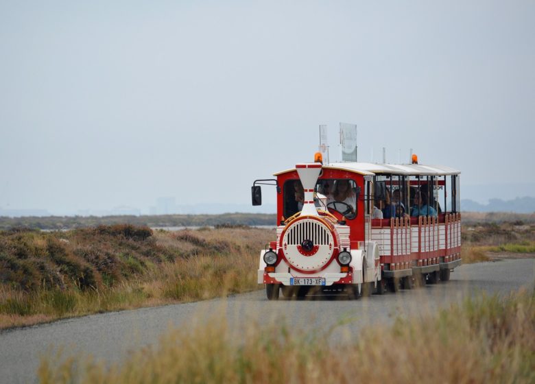 PETIT TRAIN ROUGE DE GRUISSAN