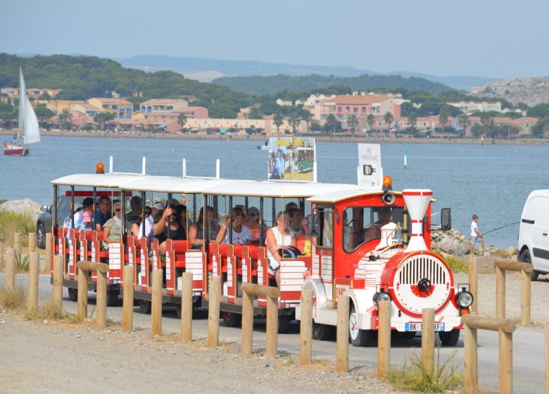 PETIT TRAIN ROUGE DE GRUISSAN