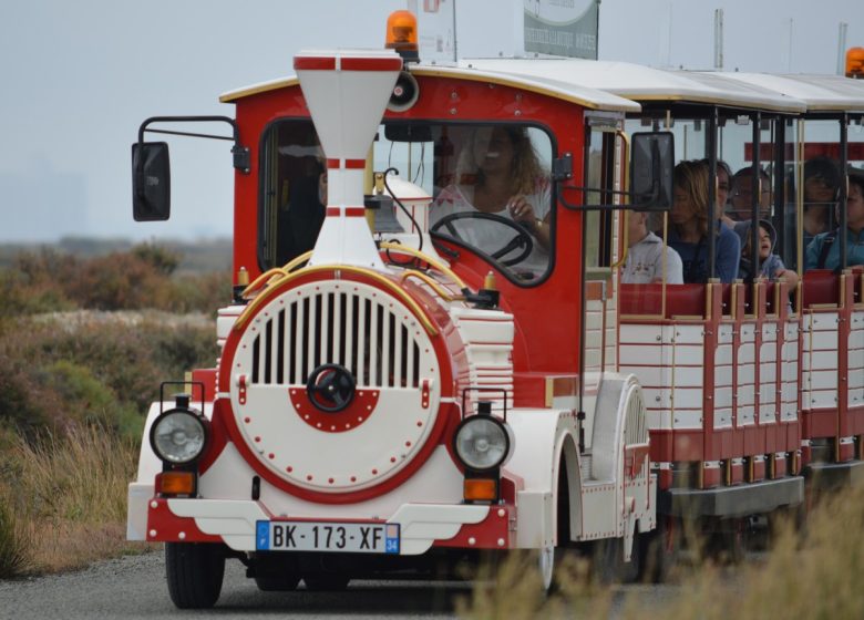 PETIT TRAIN ROUGE DE GRUISSAN