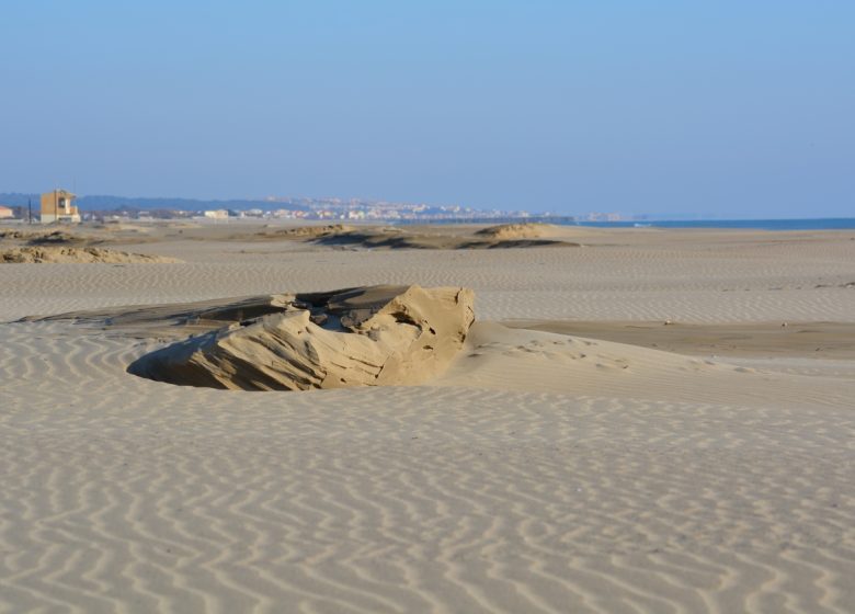 STRANDWACHE - PLAGE DE MATEILLE 