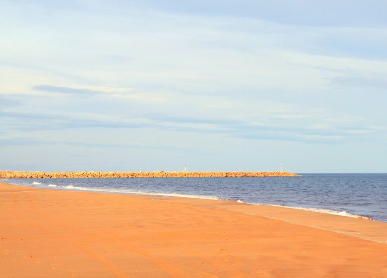 POSTE DE SECOURS N°7 – PLAGE DES SALINS – VIEILLE NOUVELLE