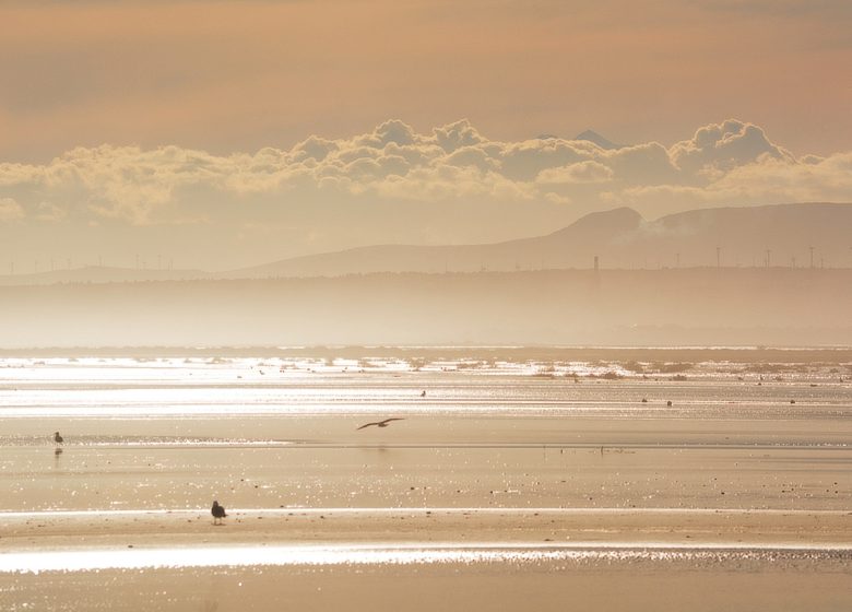 PLAGE SAUVAGE DE LA VIEILLE NOUVELLE