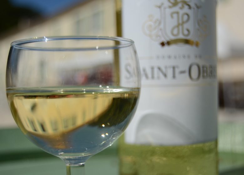 DOMAINE DE SAINT OBRE