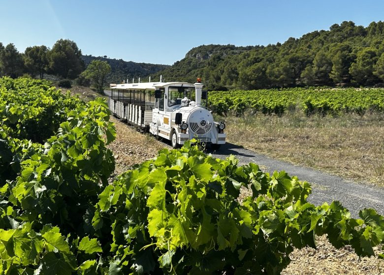 EL PEQUEÑO TREN DE GRUISSAN