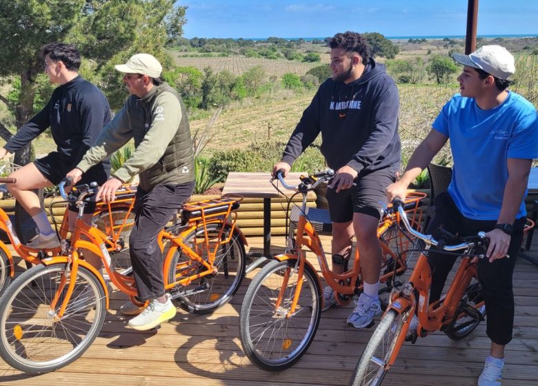 ACTIVITÉS OENOTOURISME AU CHÂTEAU LE BOUÏS