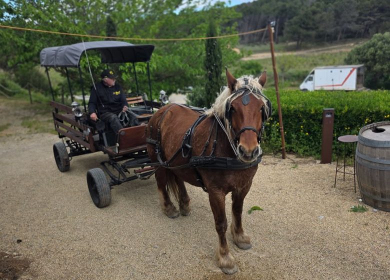 ACTIVITÉS OENOTOURISME AU CHÂTEAU LE BOUÏS