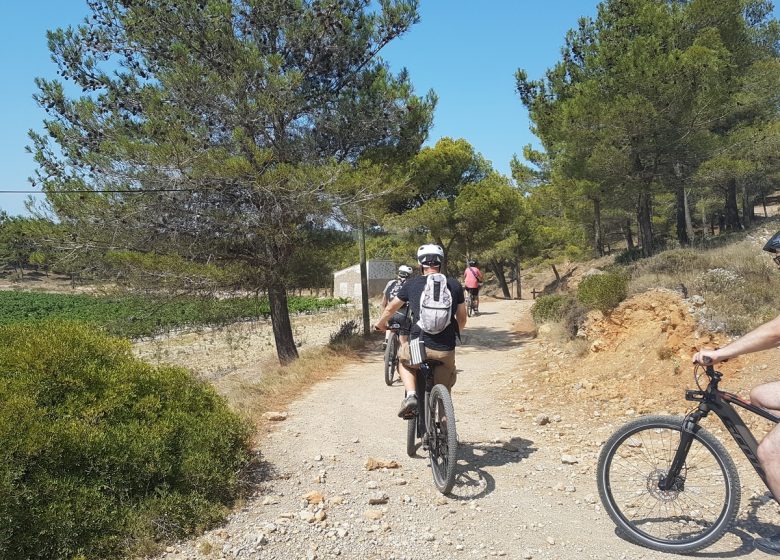 LOCATION DE VÉLOS A ASSISTANCE ÉLECTRIQUE